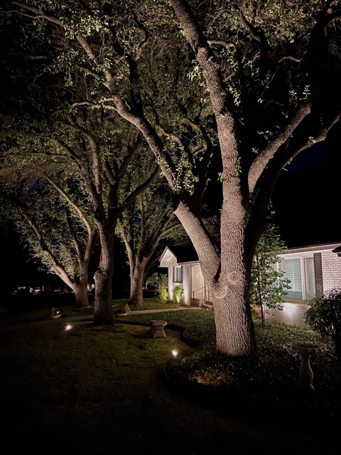 landscape lighting